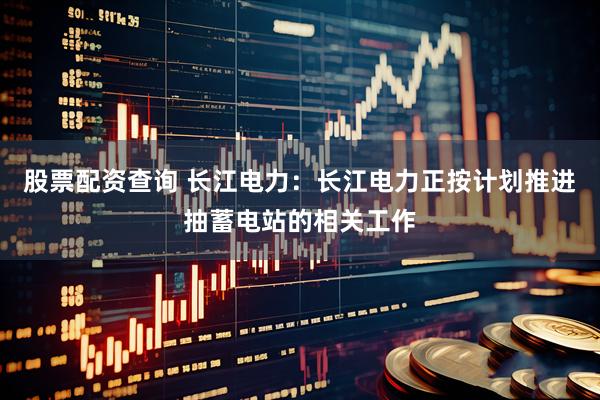 股票配资查询 长江电力：长江电力正按计划推进抽蓄电站的相关工作