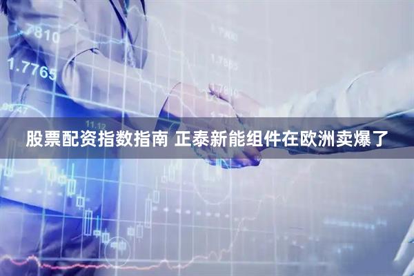 股票配资指数指南 正泰新能组件在欧洲卖爆了