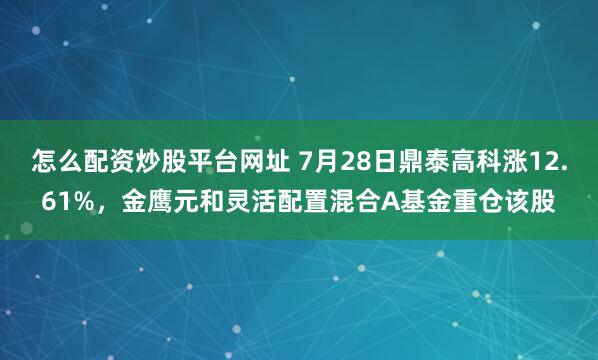 怎么配资炒股平台网址 7月28日鼎泰高科涨12.61%，金鹰元和灵活配置混合A基金重仓该股